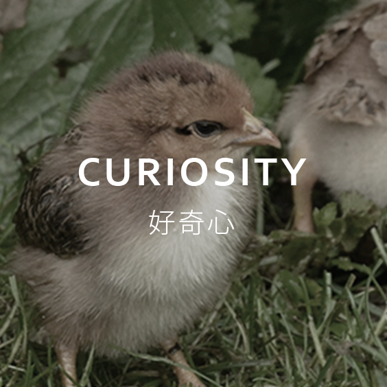 好奇心