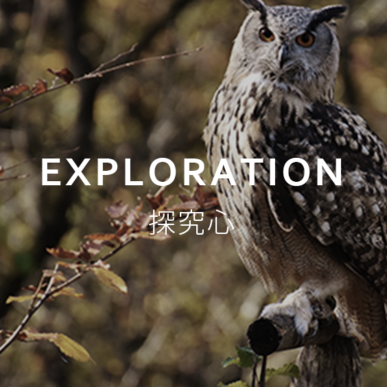 探求心